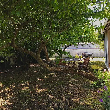 Maison Marie De Ré Hébergement de vacances Sainte-Marie-de-Ré
