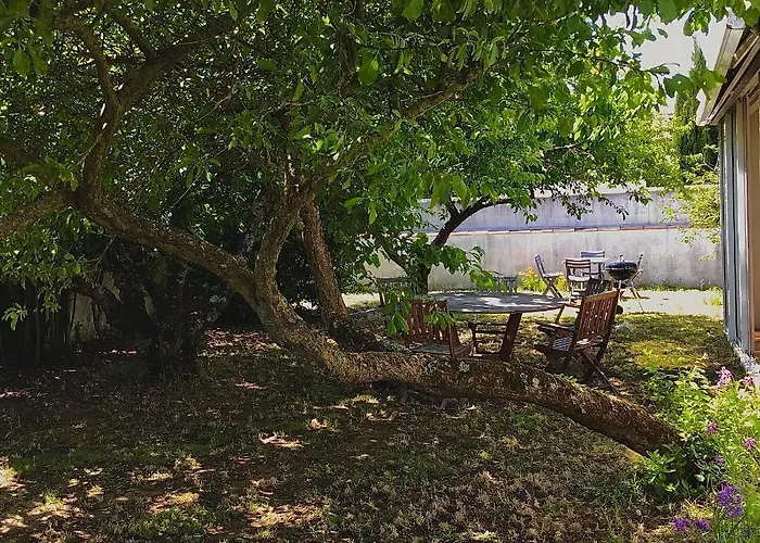 Maison Marie De Re 度假居 圣马丹德雷